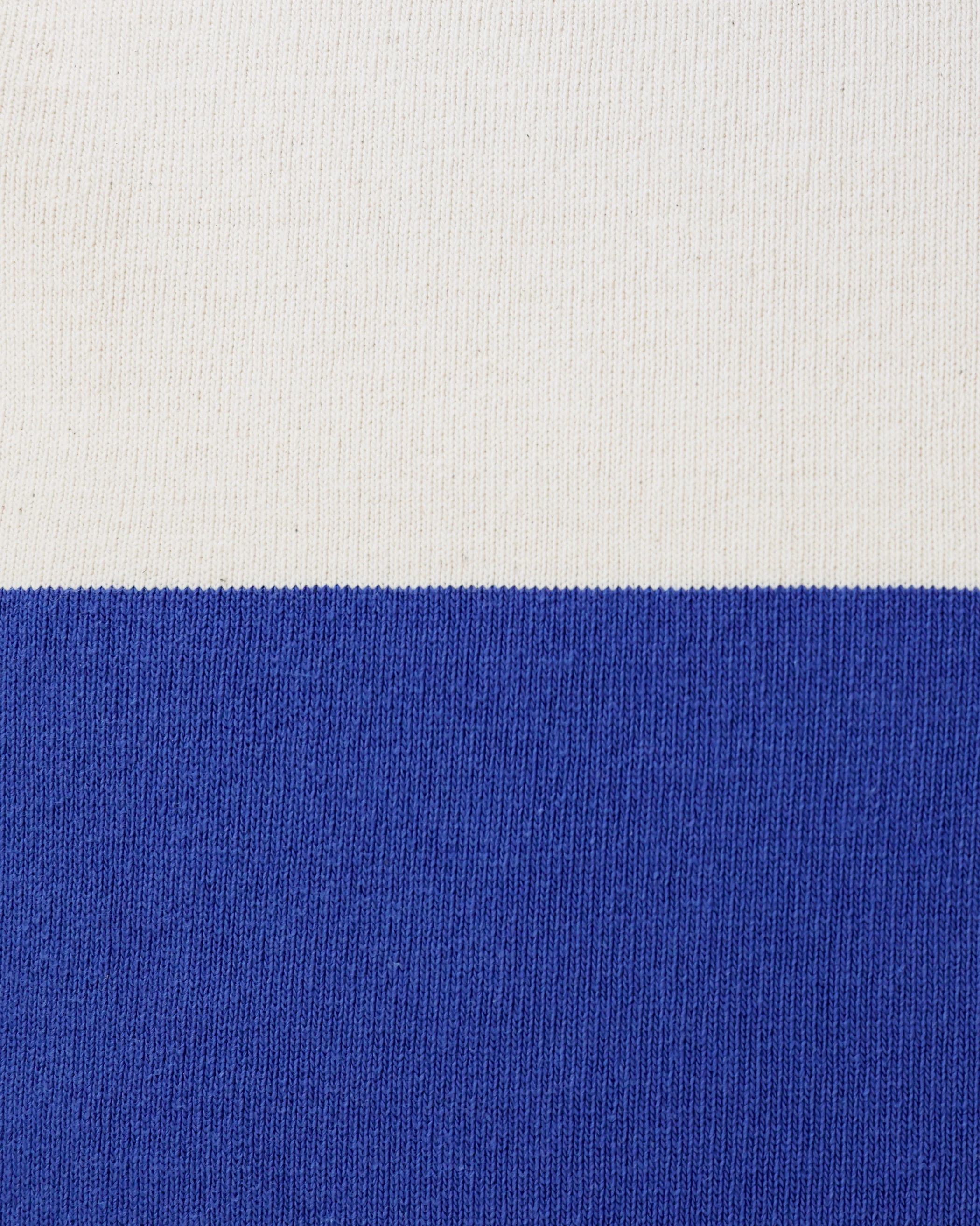 Aubrey Cushion Cover Ivory and Royal - Image 4