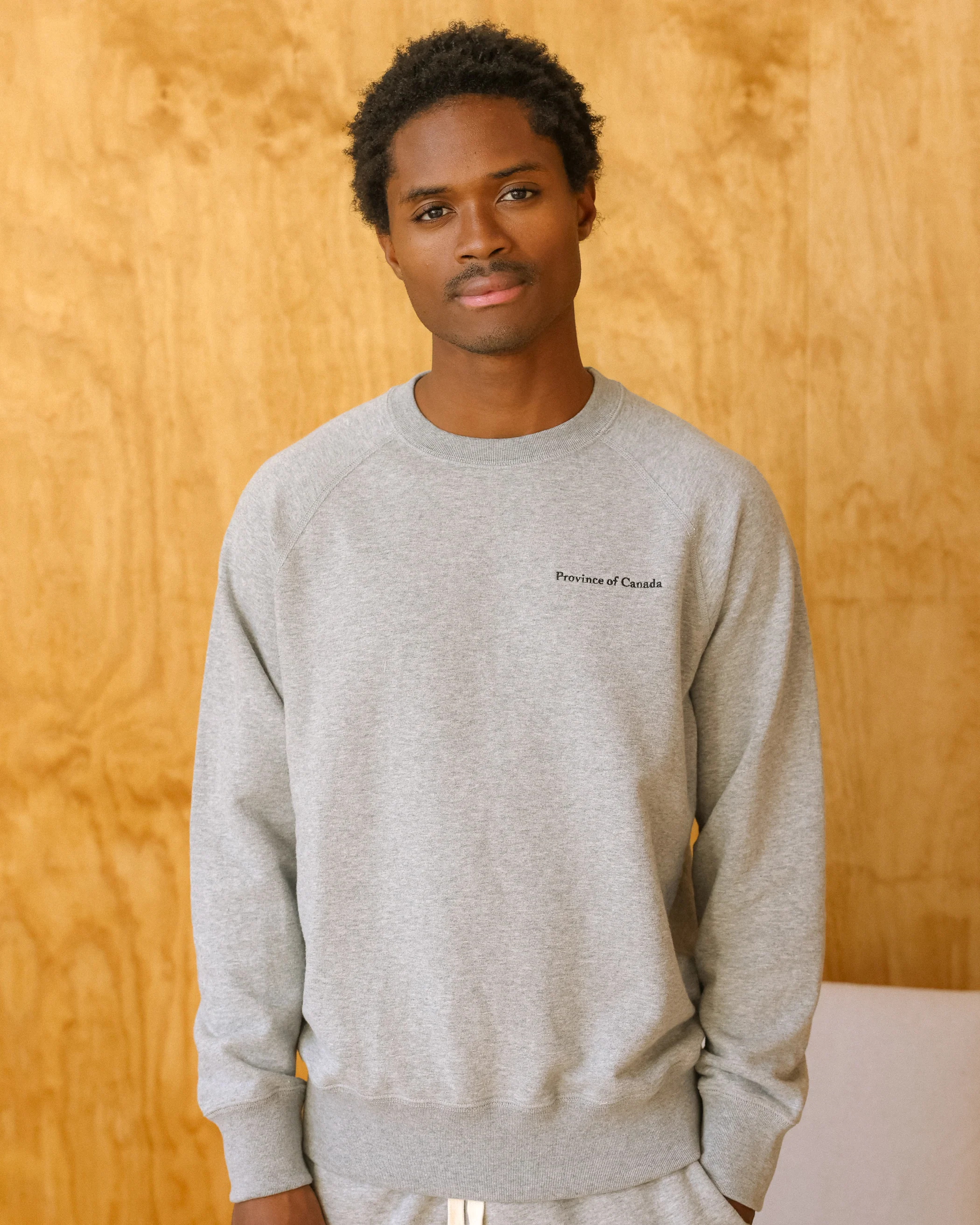 French Terry Sweatshirt Heather Grey - Image 3