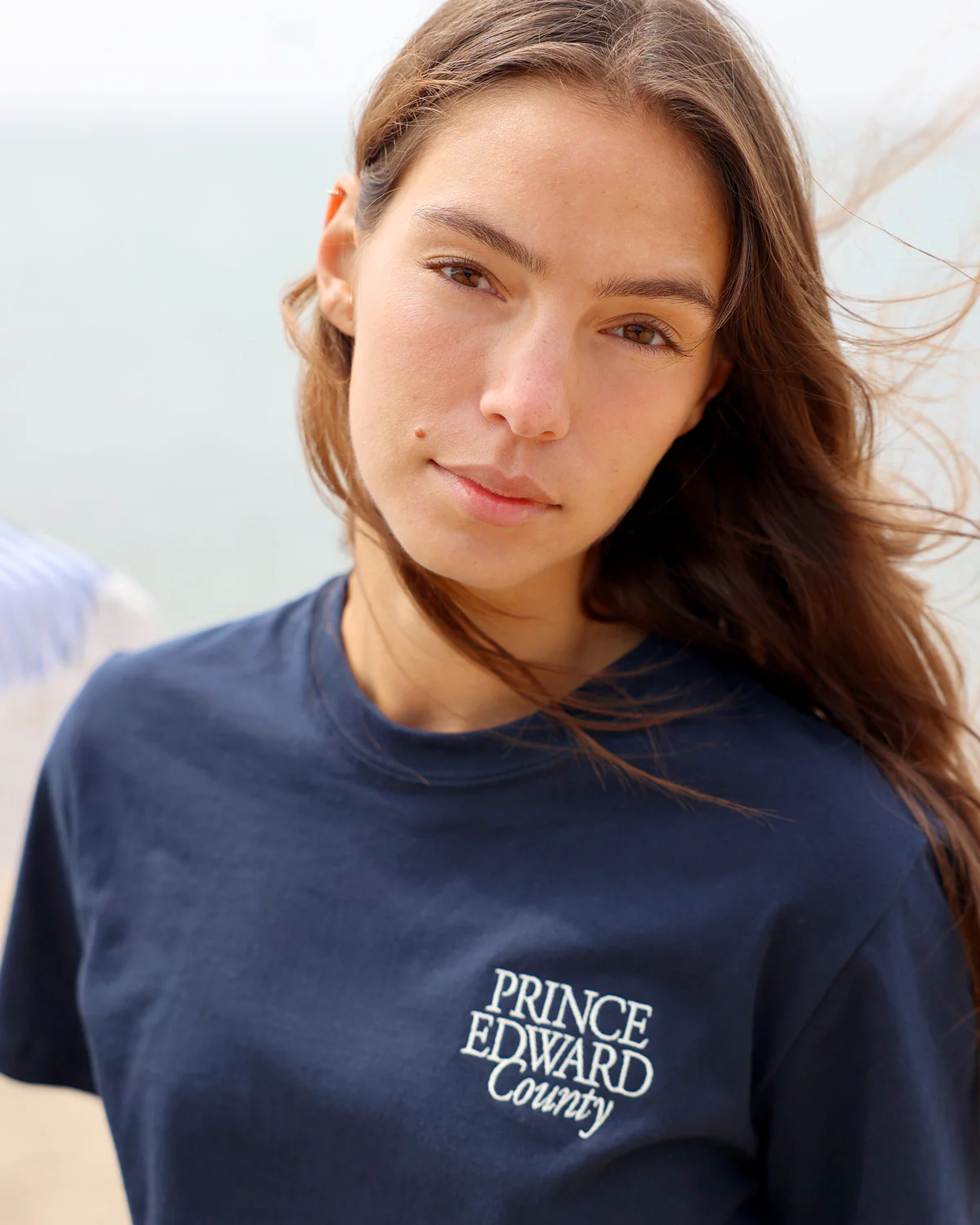 Prince Edward County Tee Navy - Unisex - Image 4